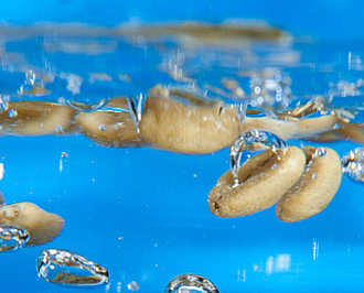 Кофе без кофеина «Swiss Water Process»