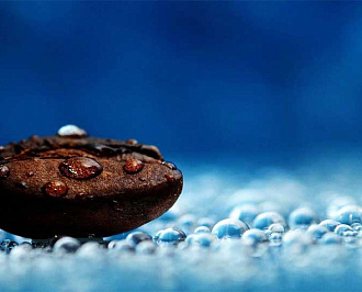 Подробно о воде — химия водно-солевых процессов